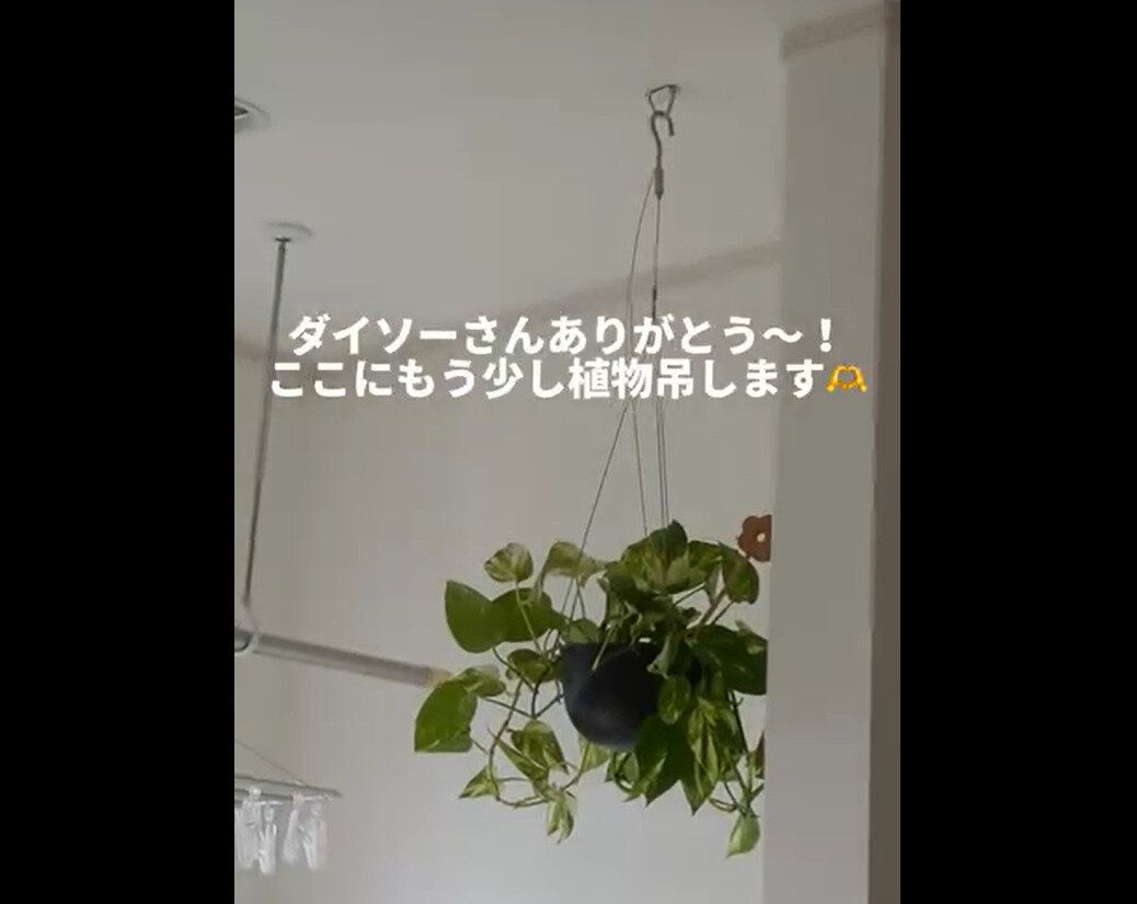 【ダイソー】ついに出た！壁面にしっかり固定ピンフック