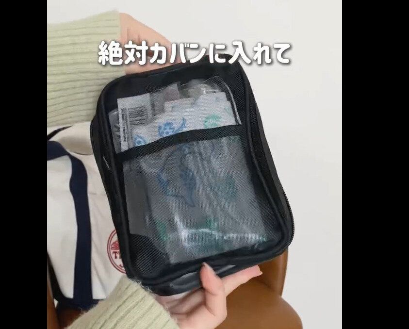 【ダイソー】カバン整う！メッシュ縦型ポーチ