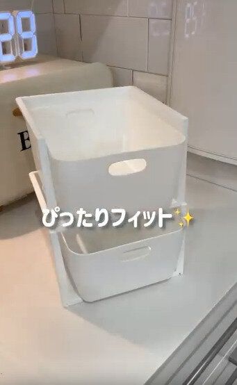 【セリア】セリアのカトレケースとの合わせ技もオススメ