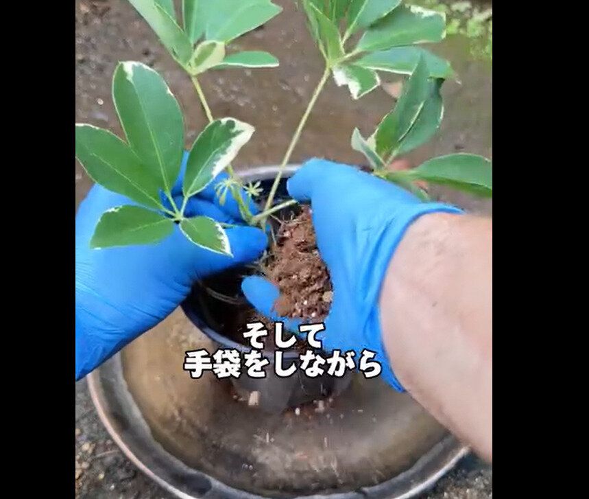 【ワークマン】980円分以上の価値あり！ニトリル使い切り手袋