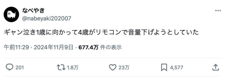 現代っ子の新常識!?ギャン泣きする1歳の弟を前にして、4歳兄が手にしたのは“リモコン”だった！イマドキな発想に23万人がほっこり