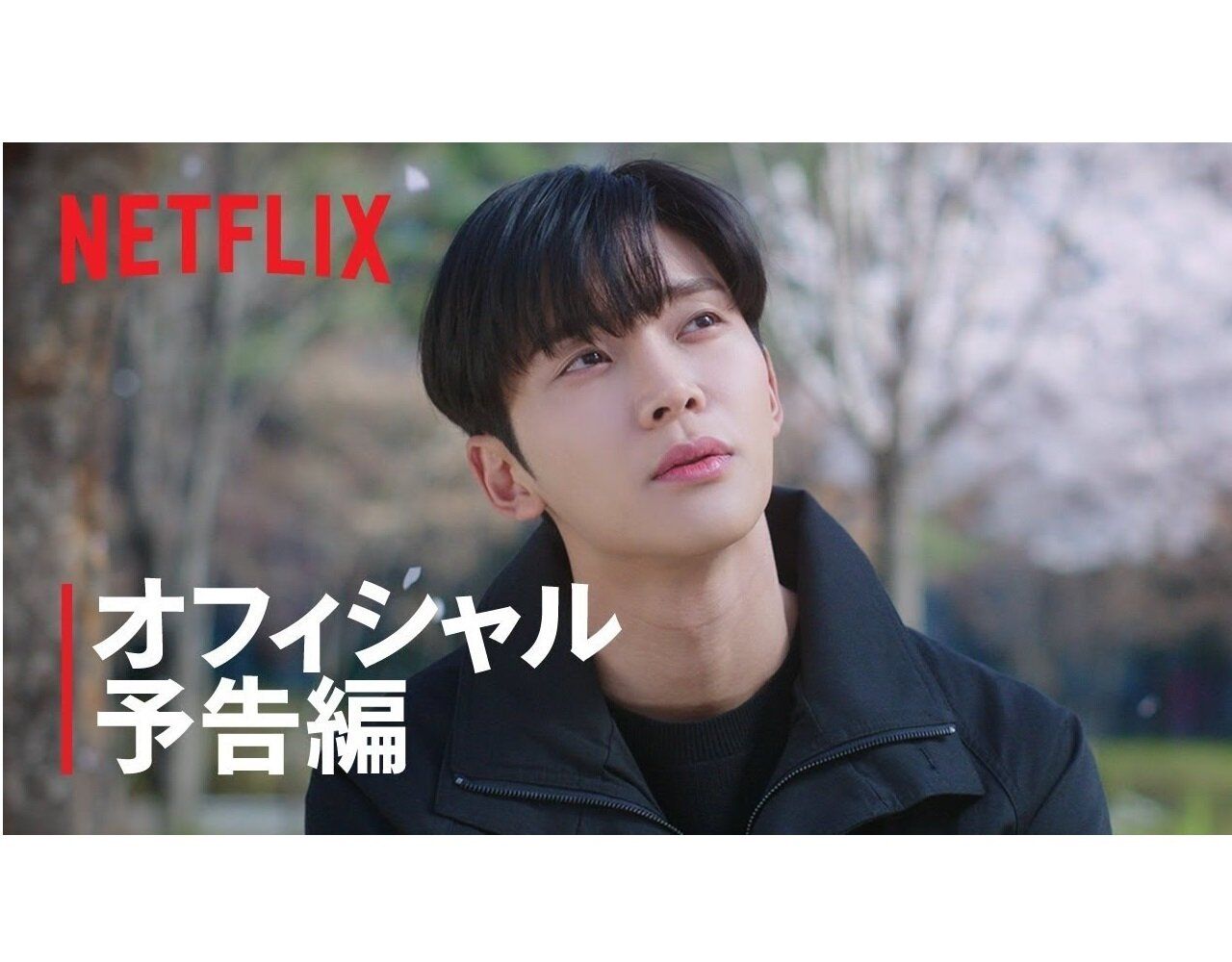 【韓ドラ】ロウン主演『この恋は不可抗力』