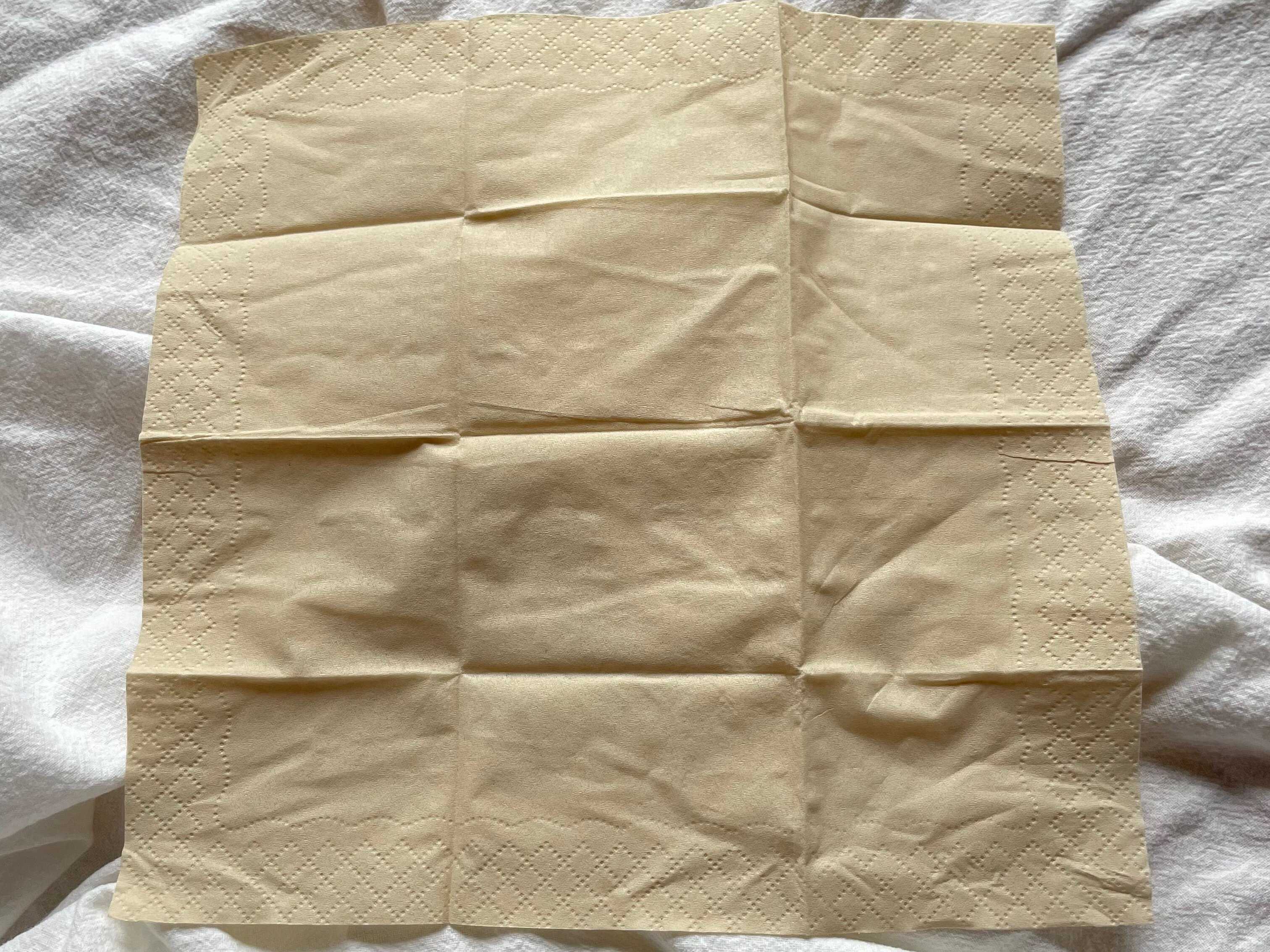 携帯用ナプキン