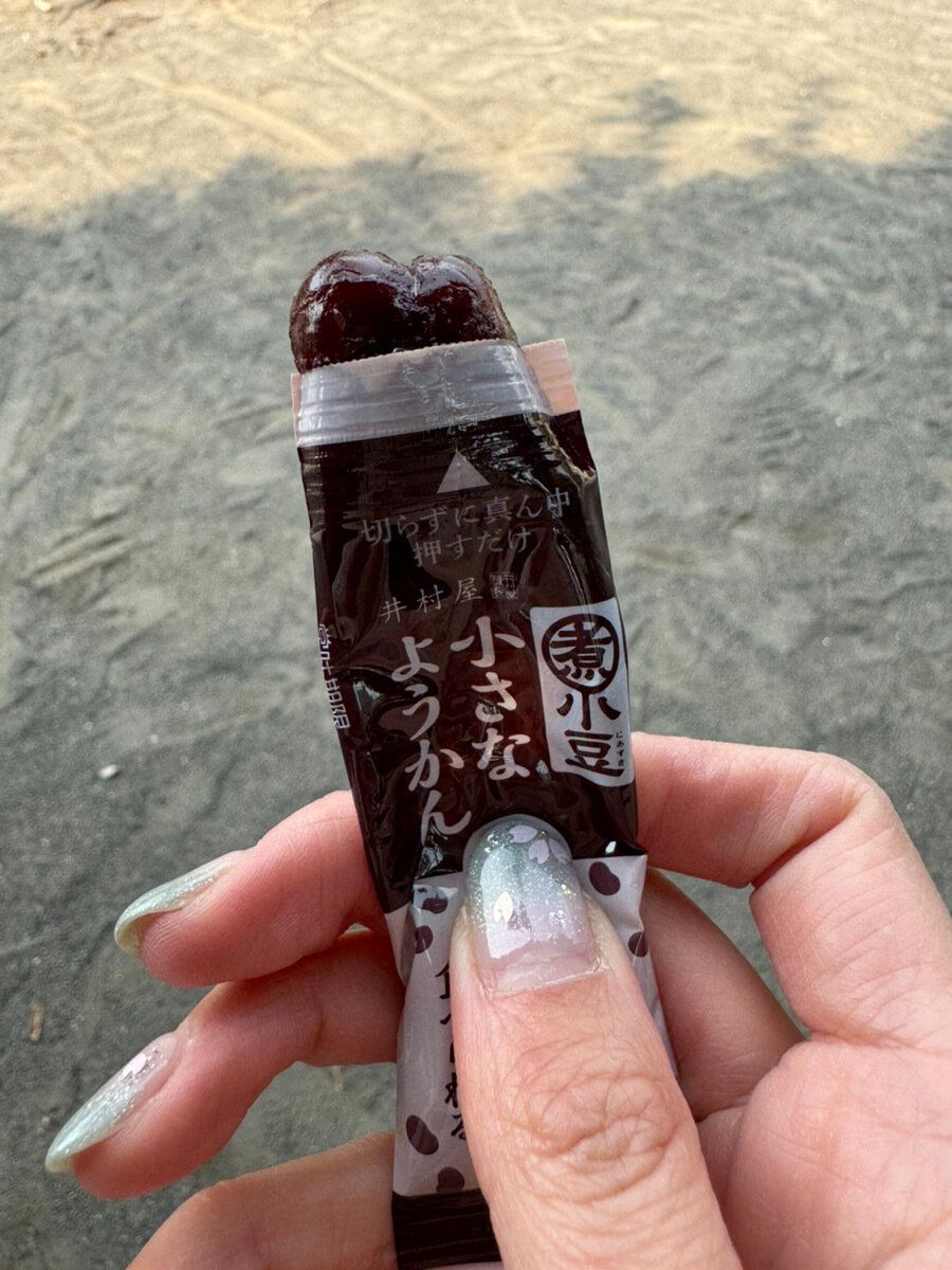 井村屋片手で食べられる小さなようかん