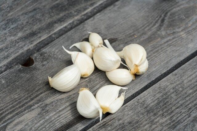 ニンニク