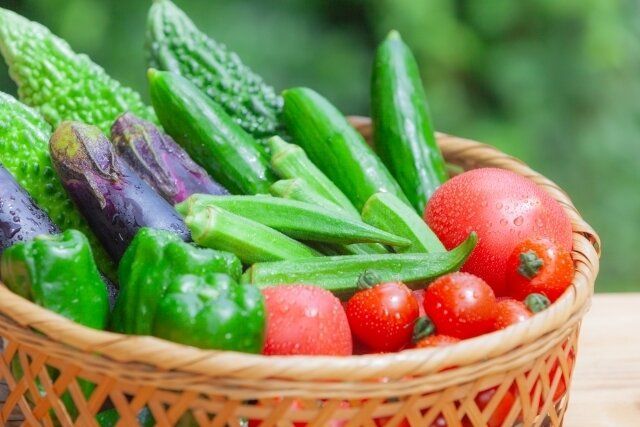 夏野菜
