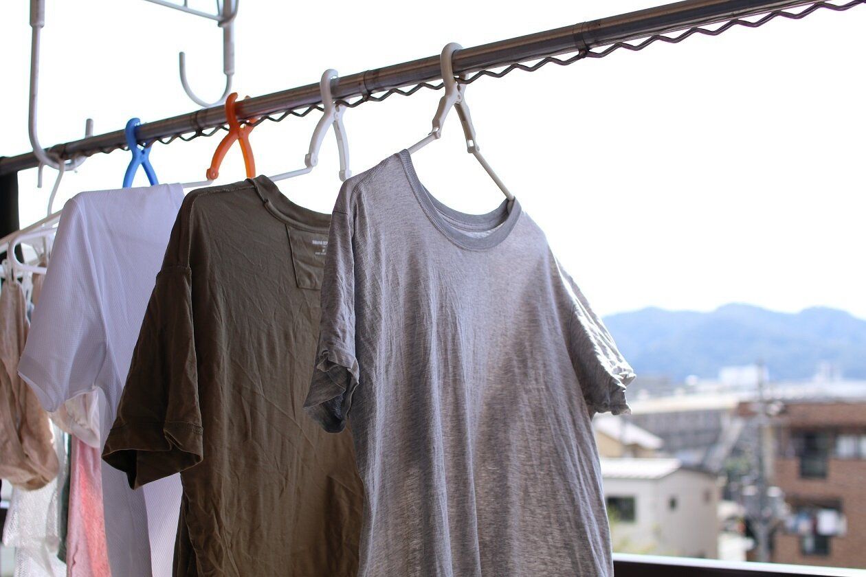 【対カメムシ歴10年】本当に効果があった洗濯物のカメムシ対策と絶対にやってはいけないNG行動