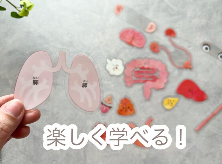 子どもがハマる！【キャンドゥ】の遊びながら楽しく学べる知育玩具が凄い！