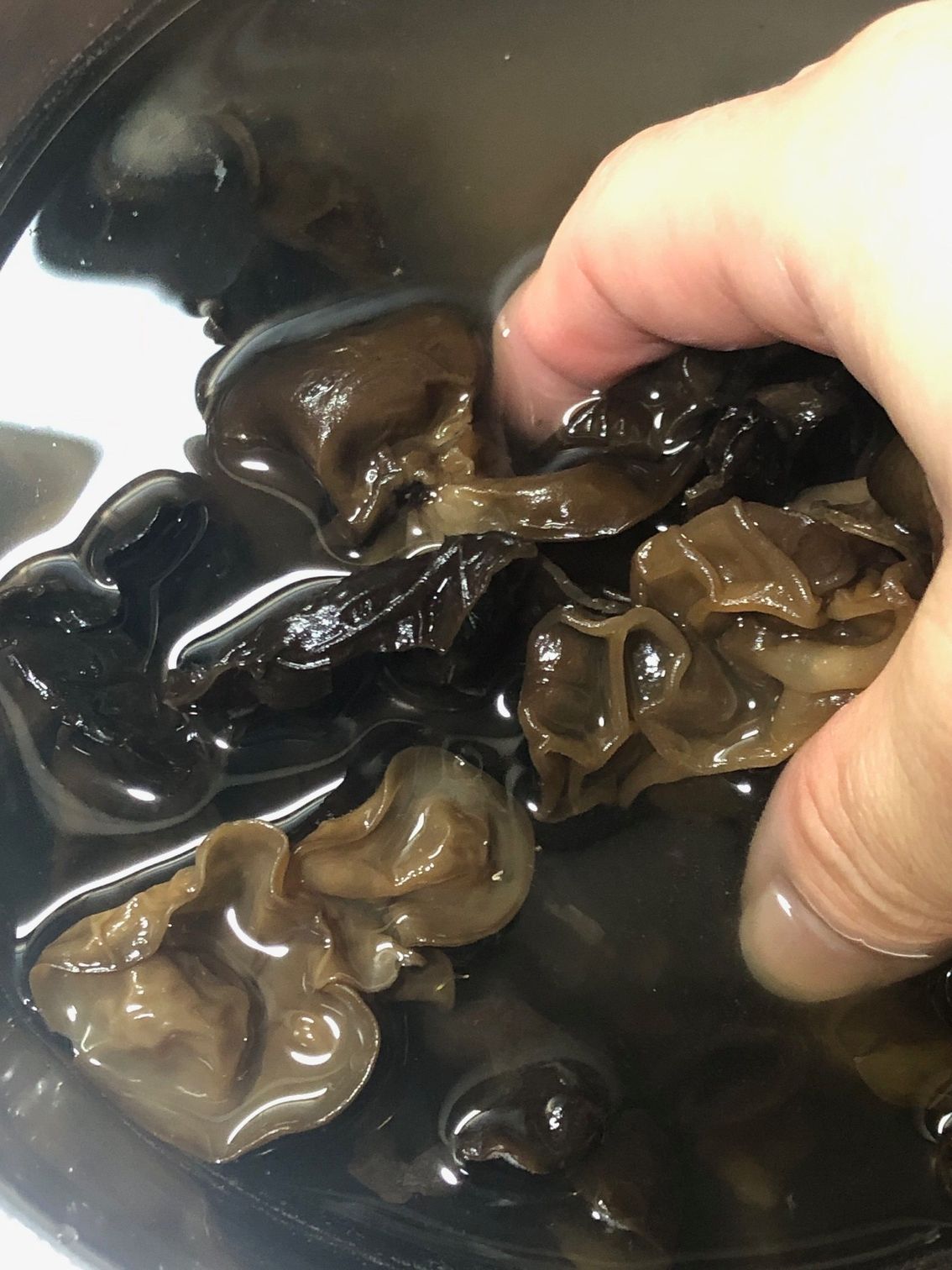 きくらげを水で戻す