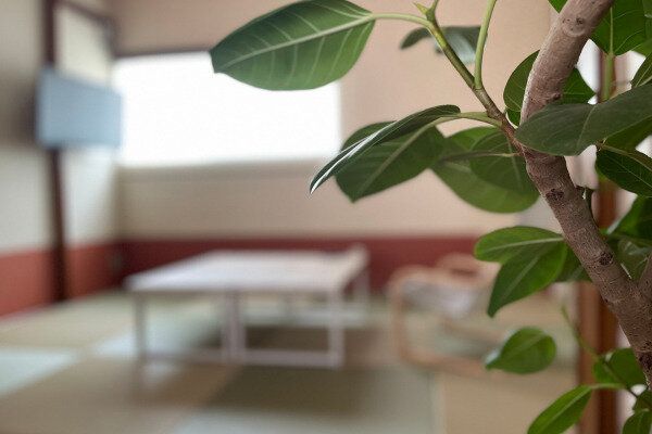 モノが少ない部屋