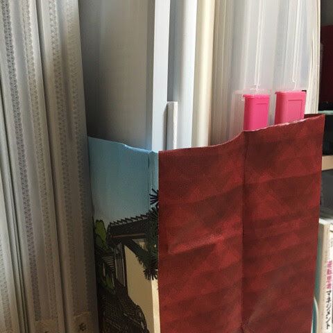 紙袋を使った収納