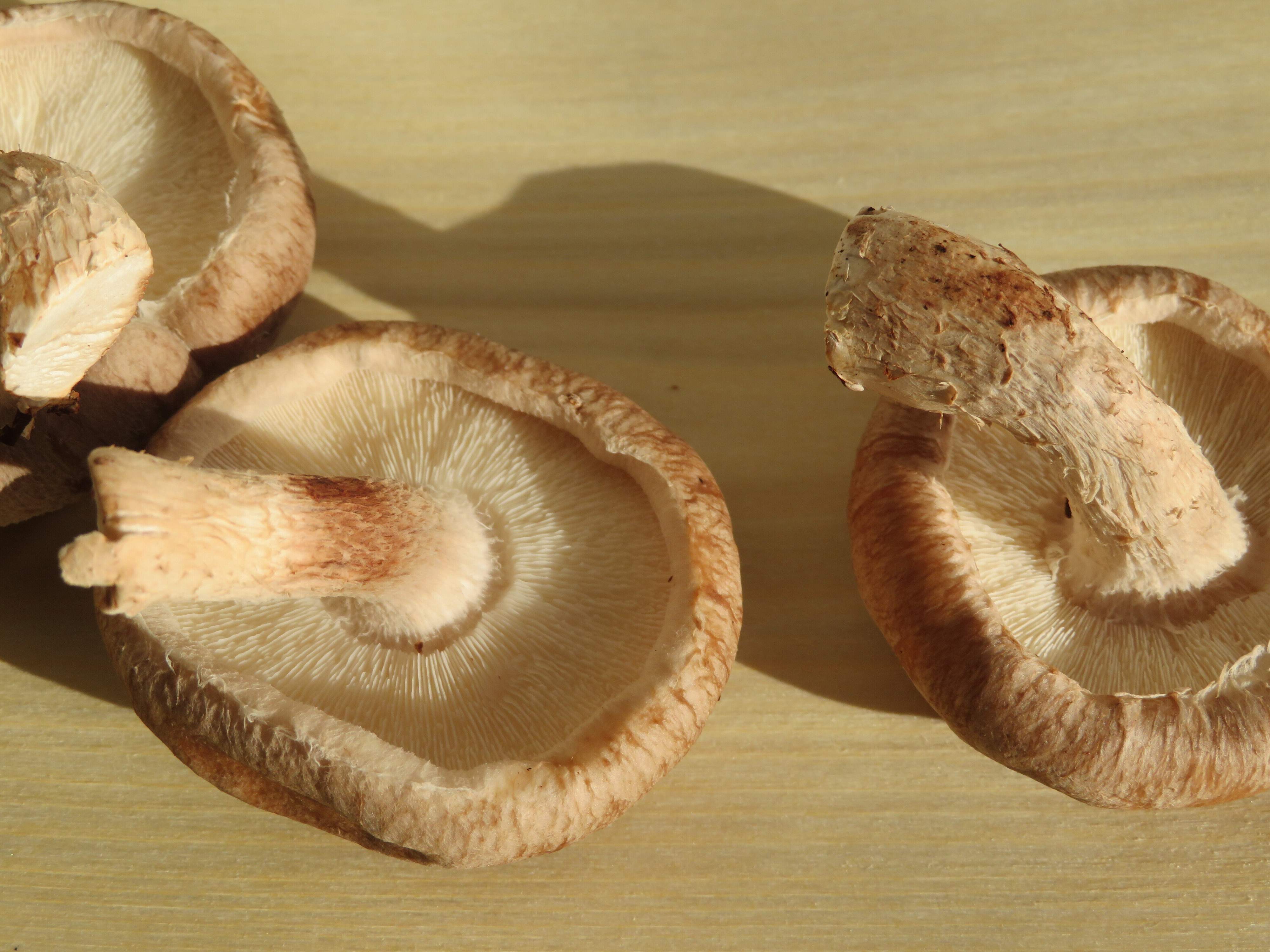 食費節約しようとして失敗!気をつけたい食品ロス削減法