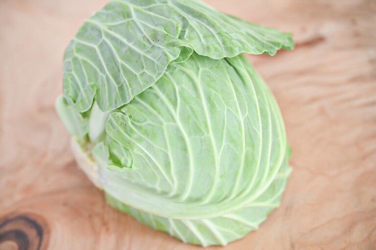 【旬食材】春キャベツは選び方に違いがあるよ＆春キャベツのおすすめレシピ2選