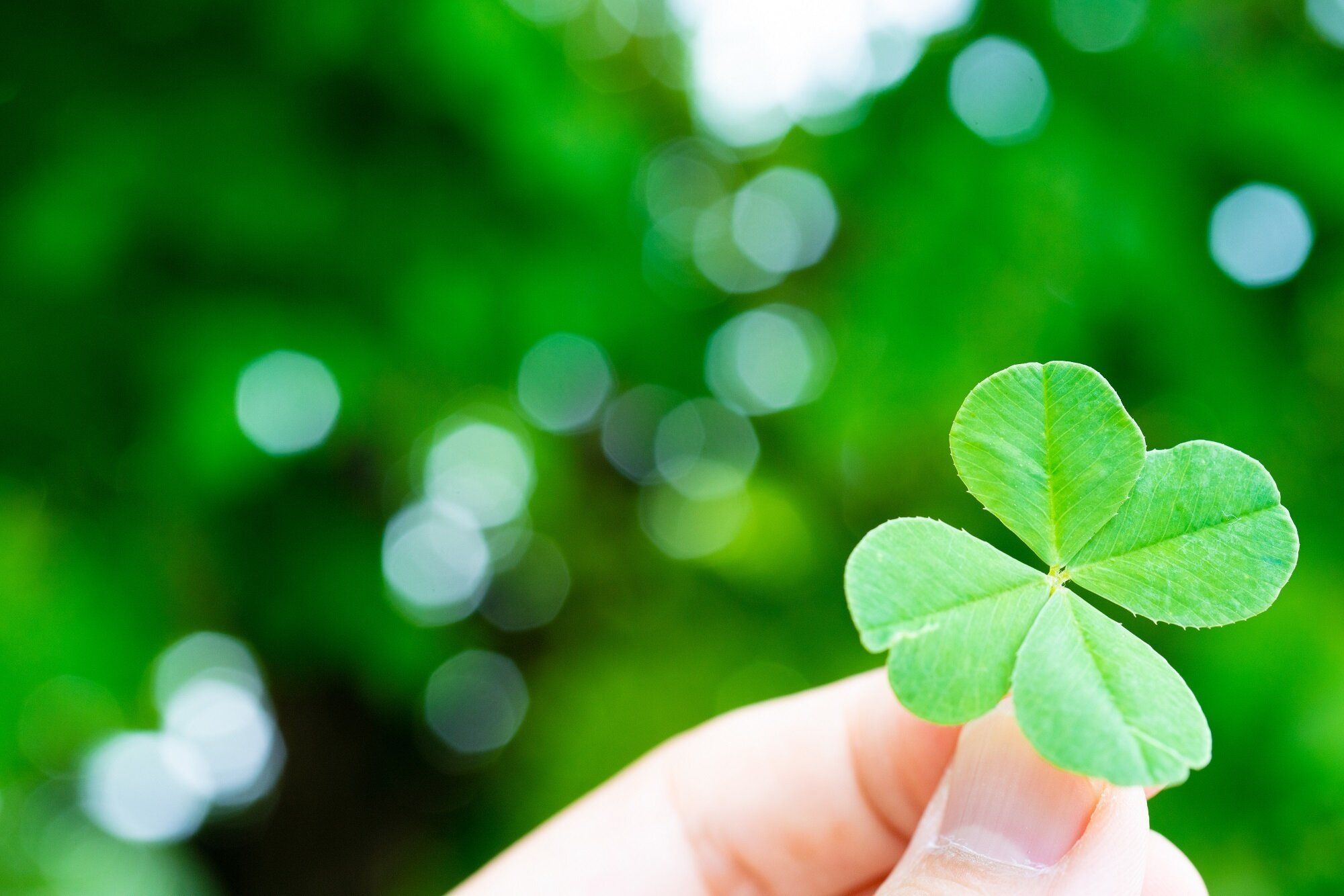 ラッキーカラーを選ぶ