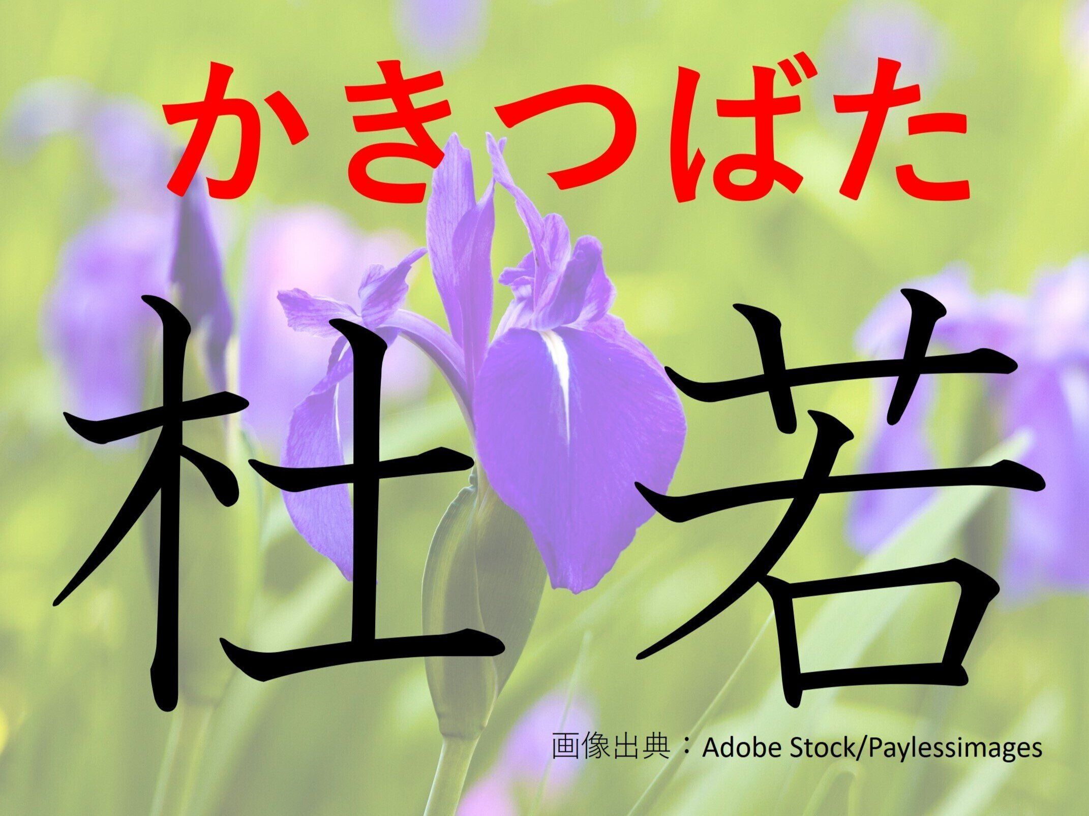 きれいだけど見分けるの大変!難読漢字「杜若」はなんて読む?