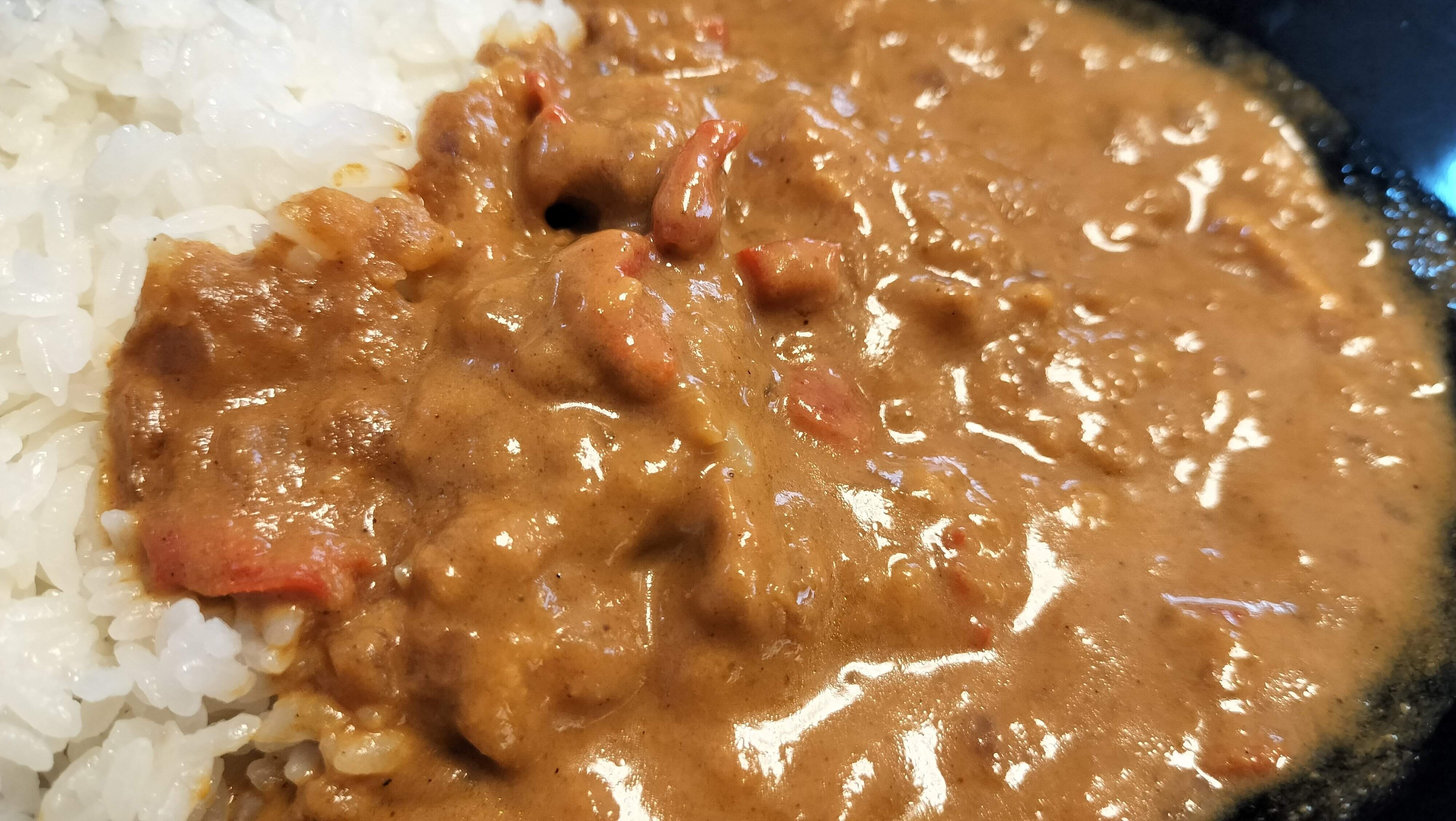 チキンドピアザ