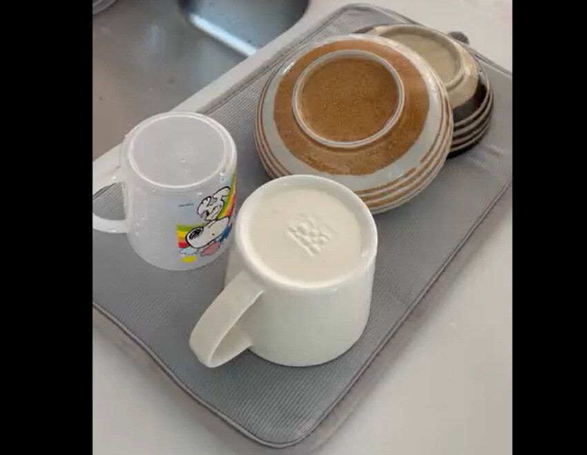 【ニトリ】お値段以上だった！吸水マット