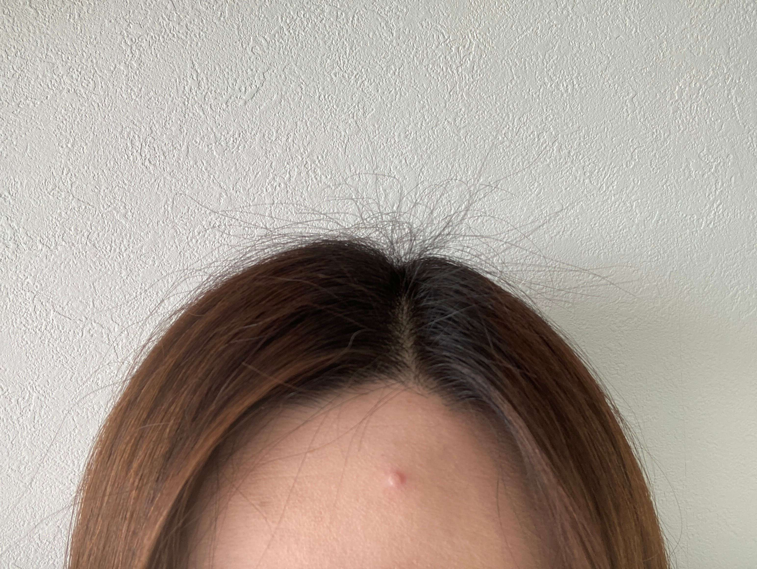 ボサボサのアホ毛