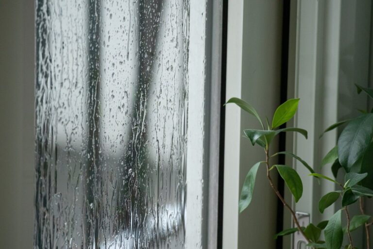 ずぼらでも大丈夫！整理収納アドバイザーが実践する簡単ジメジメ湿気対策3選