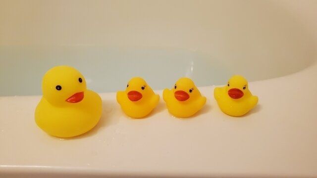 お風呂場のひよこ家族