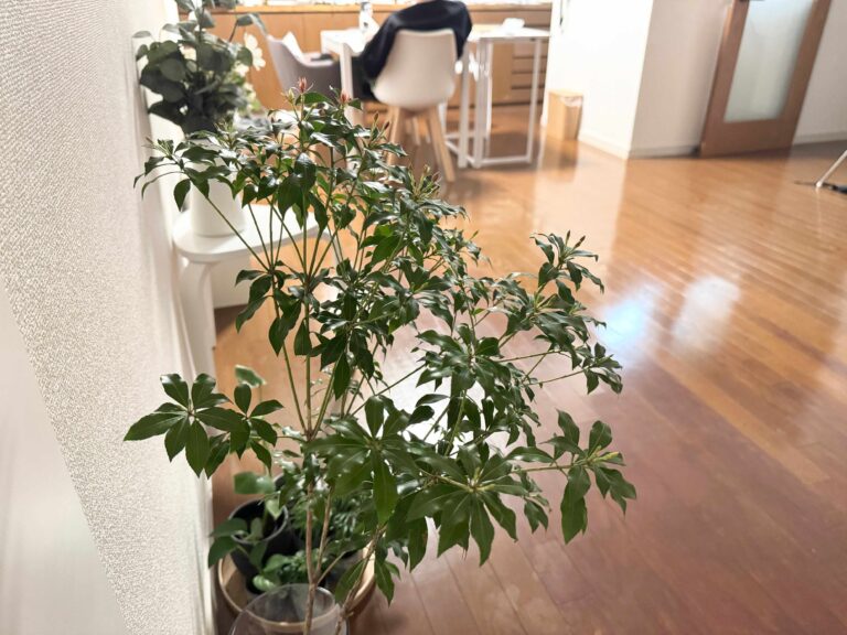 片づけたいけど進まないときの進め方のコツ