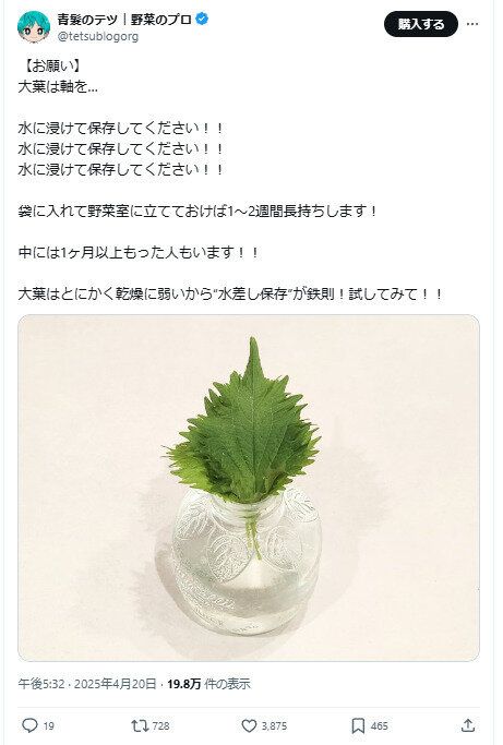 大葉をながもち