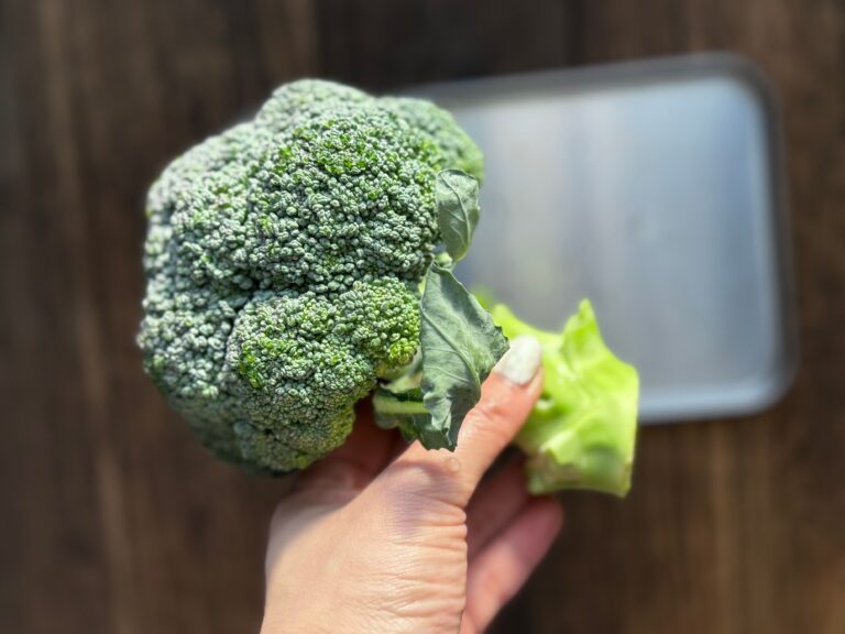 ブロッコリーの蕾がボロボロ崩れない！野菜のプロ直伝の切り方を試してみた