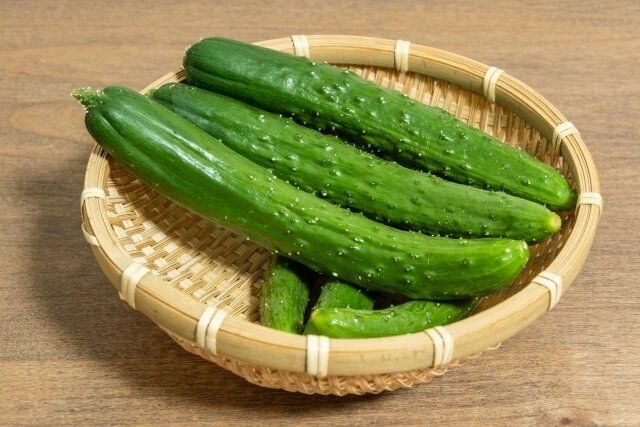 じつは避けたほうがいいかも？野菜のプロが教える「きゅうり」のもったいない食べかた