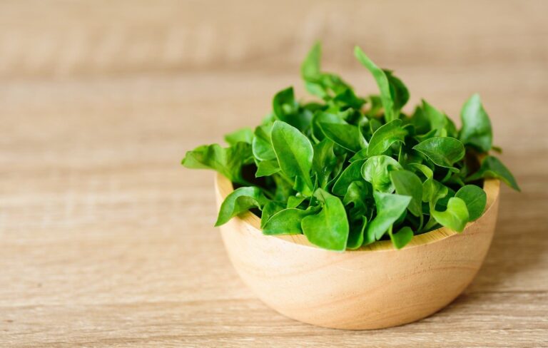 スーパーでふつうに買える「世界一の栄養密度」を誇る野菜とは!?