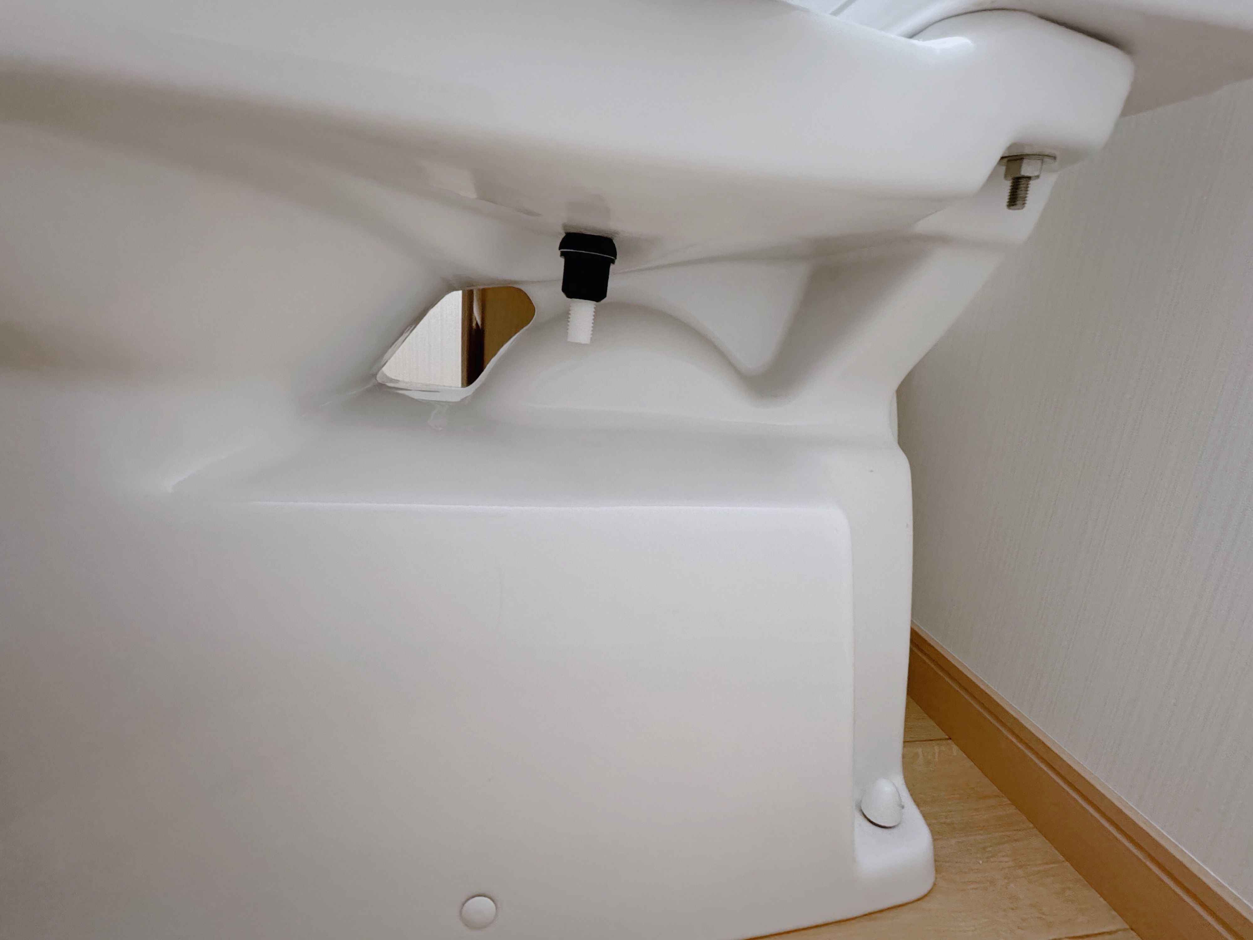 忘れがちな場所 3.便器の凹凸