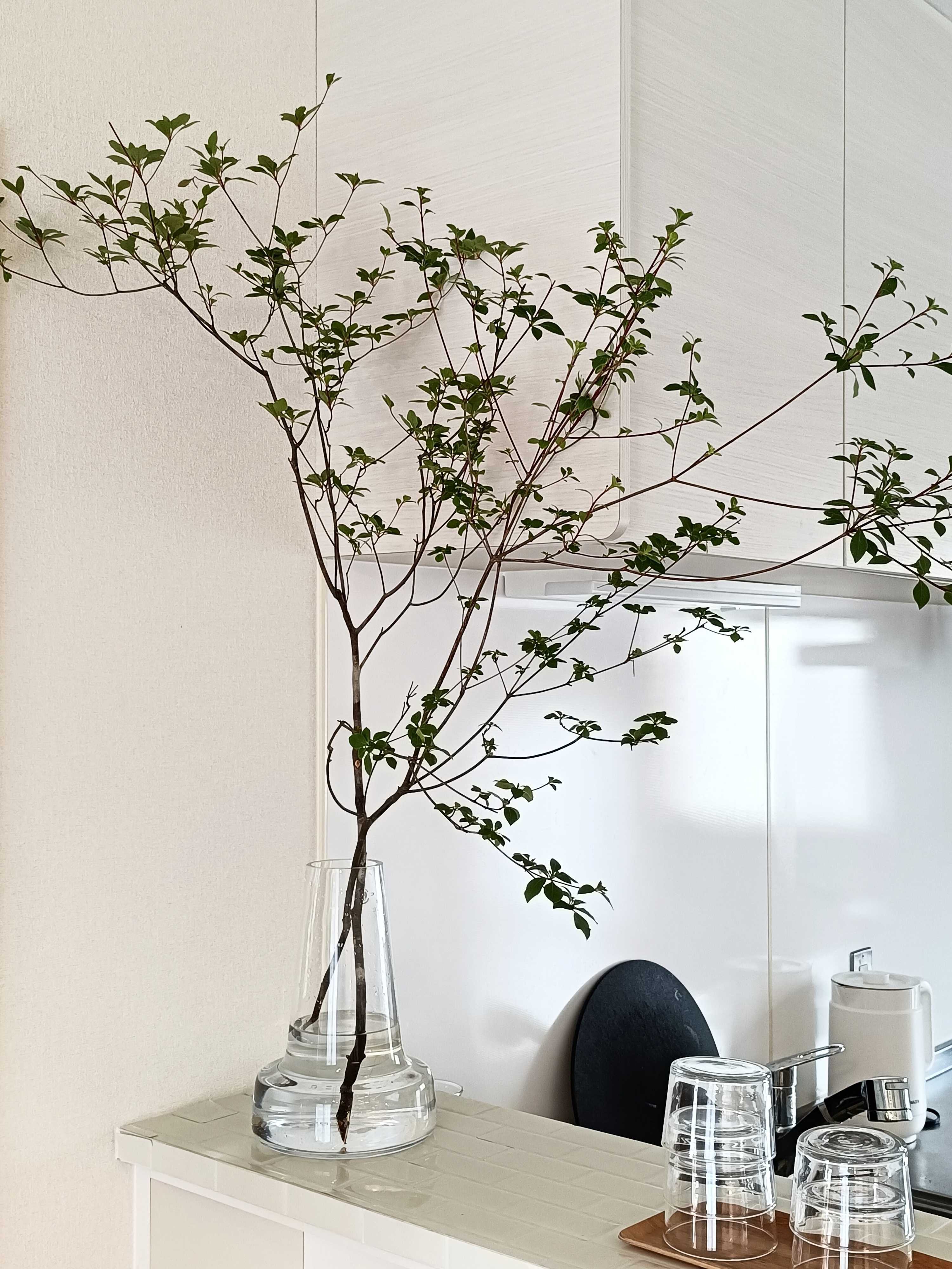 カウンターに飾られたドウダンツツジ