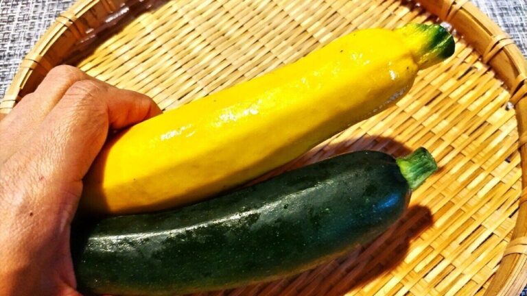 ズッキーニは「生のまま」食べてみて！おいしく食べるコツや注意点、おすすめの食べ方についてご紹介