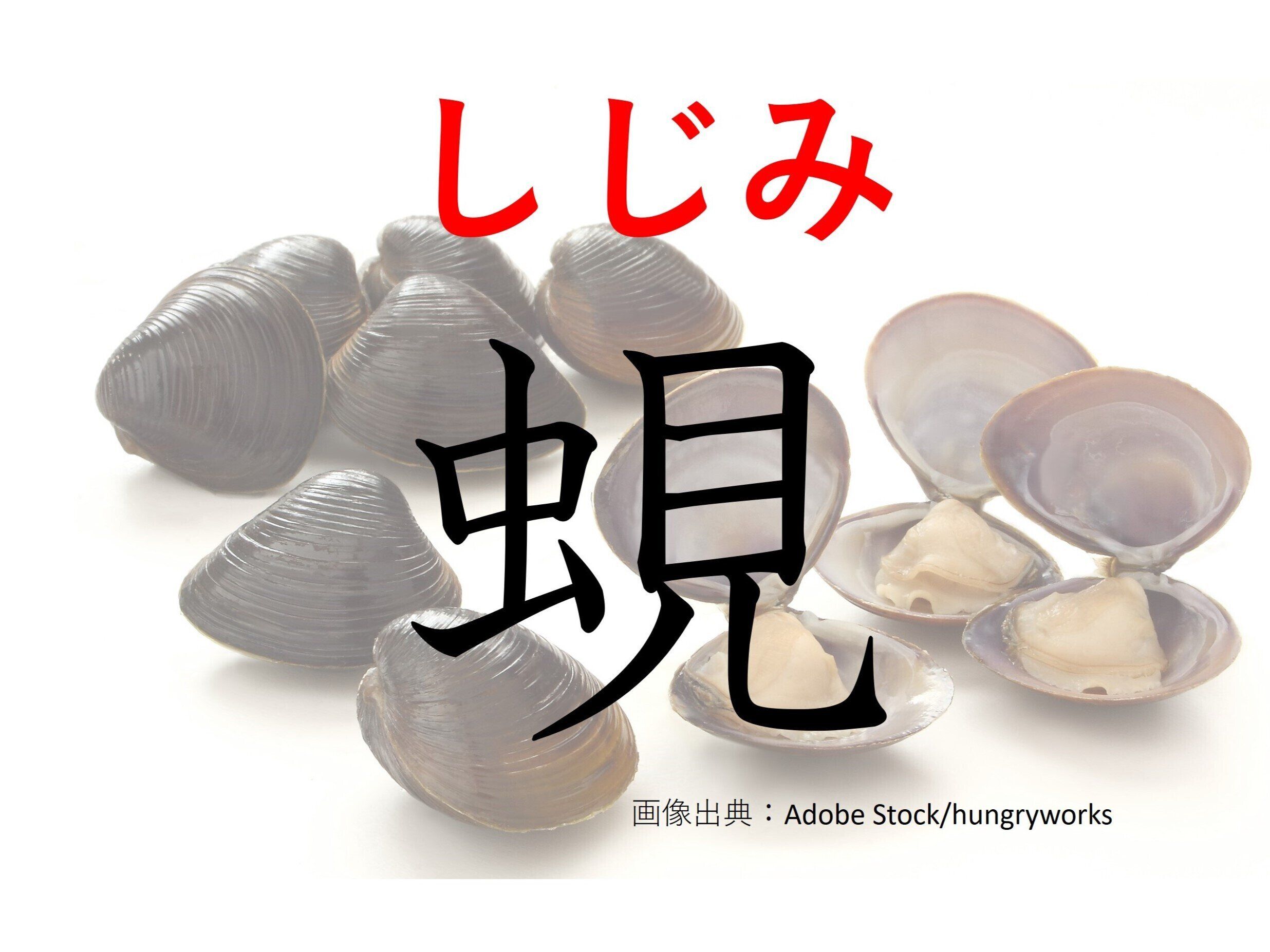 昆虫……ではないけど関係あるかも!難読漢字「蜆」はなんて読む?