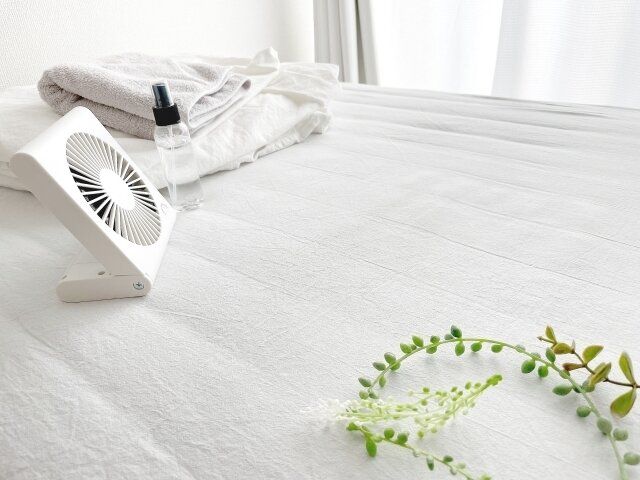 梅雨の時期のカビを防ぐ暮らし方 ― 片づけで叶える、家族のための快適な住まい ―