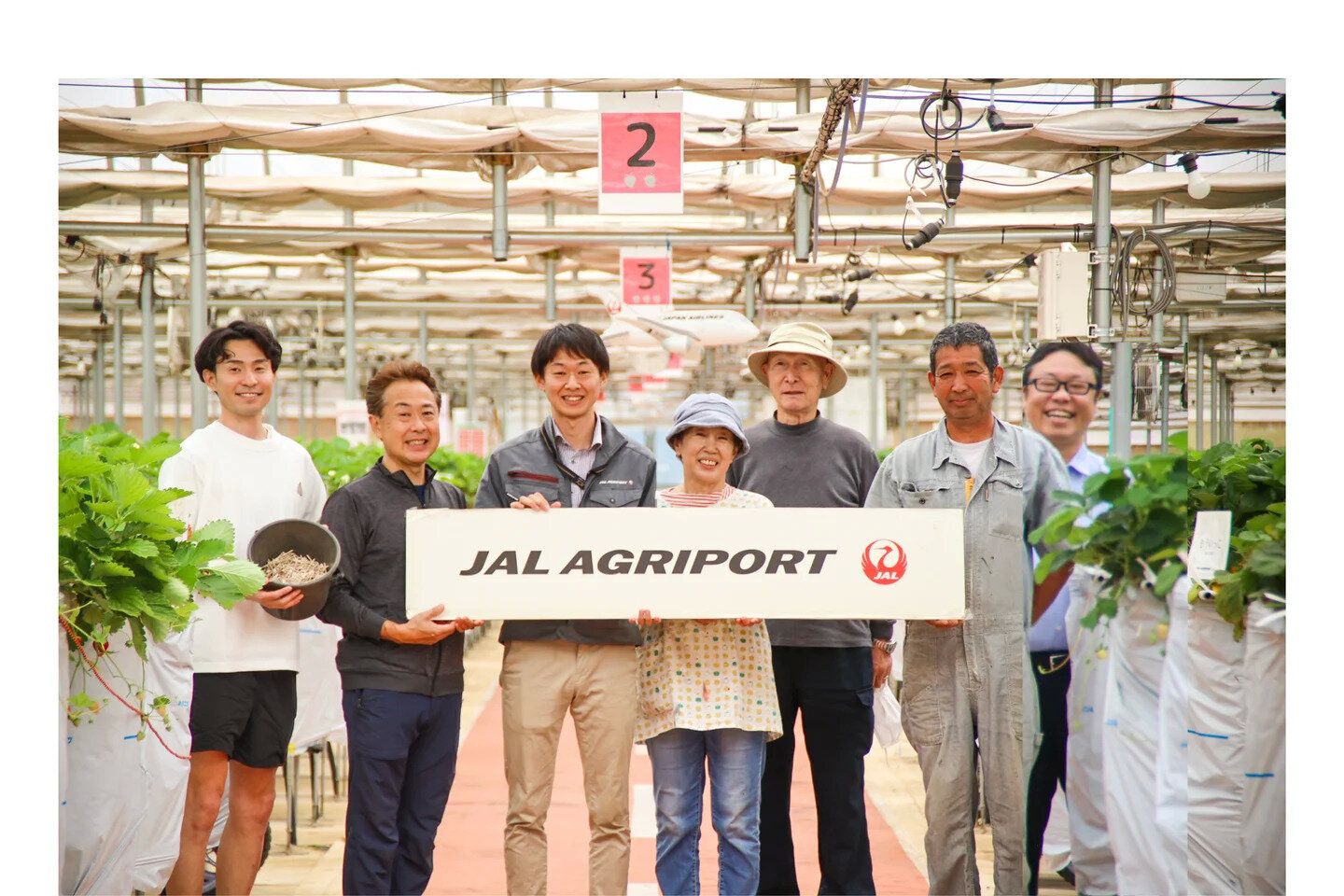 ＜JAL Agriport＞いちご農園にて、エステックの「100％紙製苗止めクリップ」（FSC認証紙）を採用