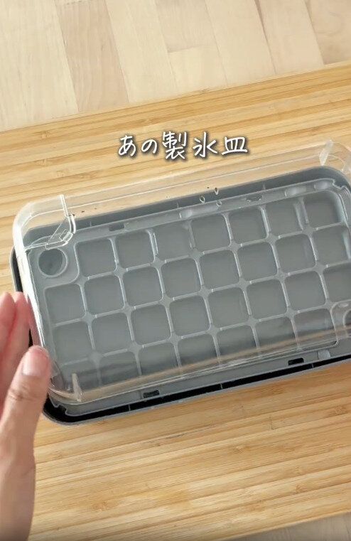 【3COINS】ついにスリコから出た!話題の氷大量生産するやつ