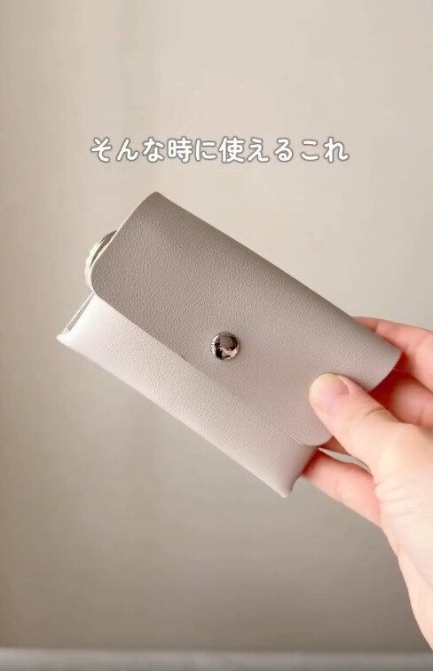 【ダイソー】子連れ外出に便利すぎる！ダイソーのマルチウォレット