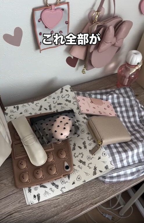 【ダイソー】リュック内の荷物を全部まとめられる