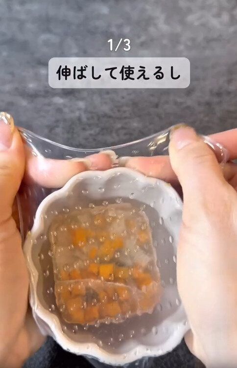 【ダイソー】伸ばして使うことも可能