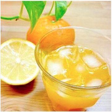 残ったみかん救済!オレンジエード