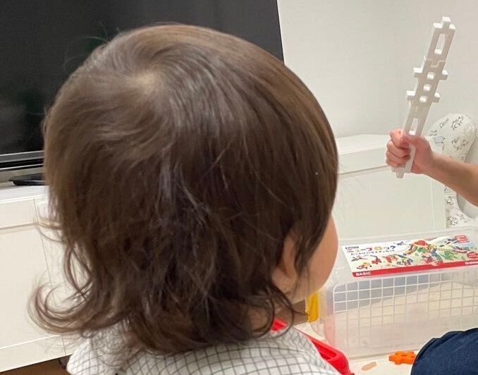童心に帰りすぎたパパが、1歳の息子に買ったブロックで本気の制作！9万件のいいねと「最高ですwww」の声
