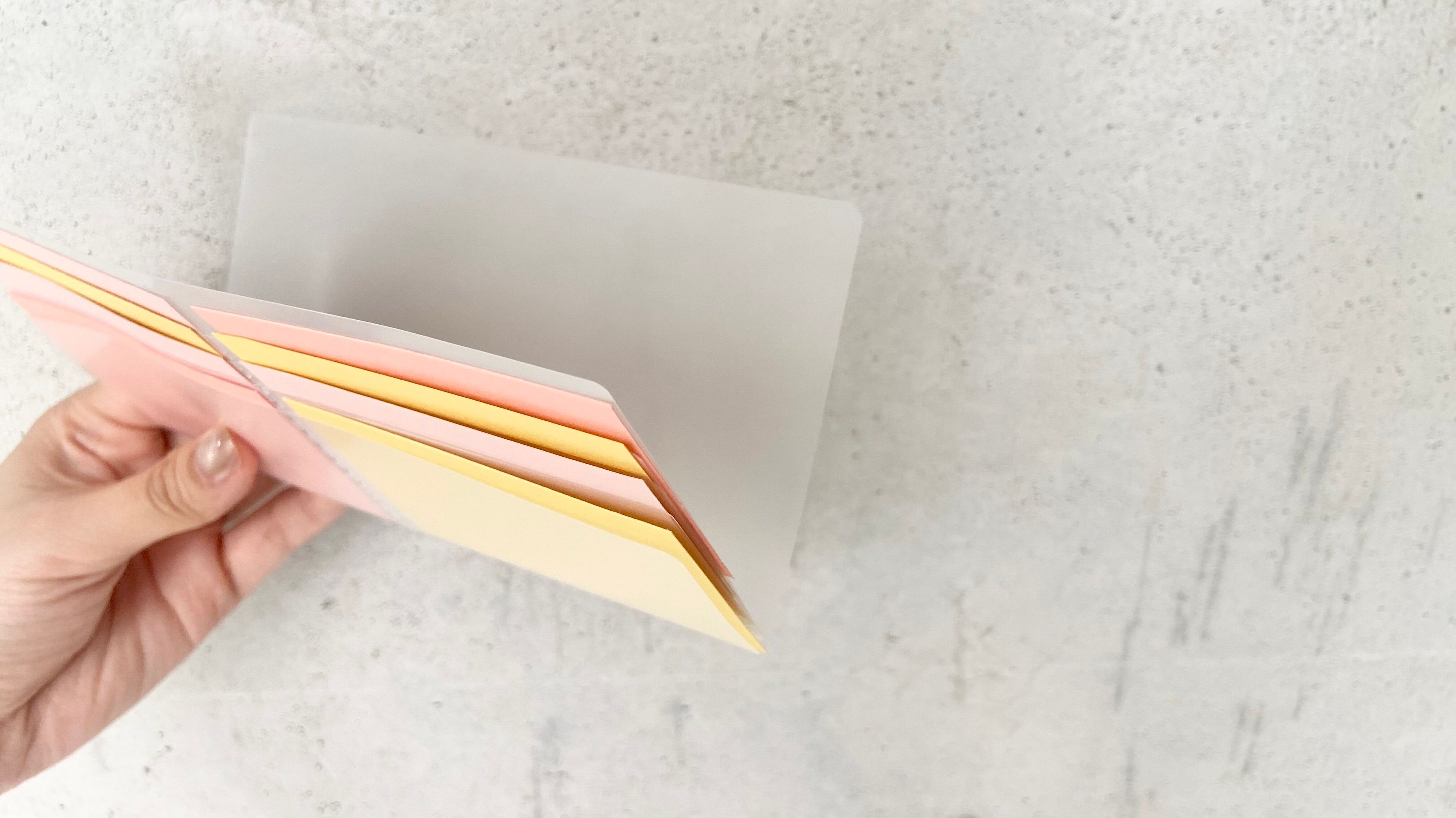 長財布に入るカードホルダー JANコード：4550163002572