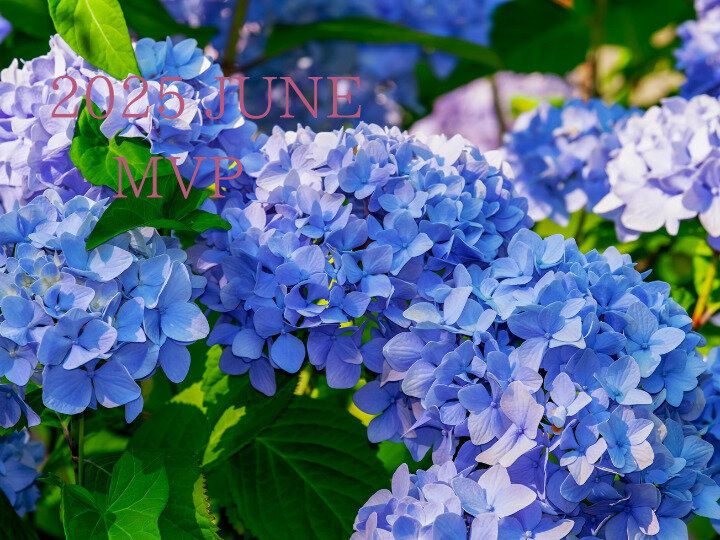 ６月MVP