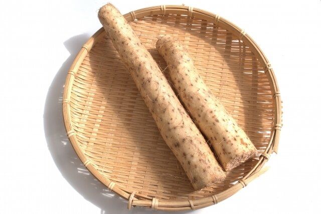 山芋の人気おつまみレシピ40選！簡単にお家で居酒屋気分に！