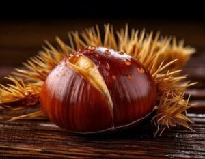 【夢占い】栗の夢の意味とは？シチュエーション・特徴別に解説！