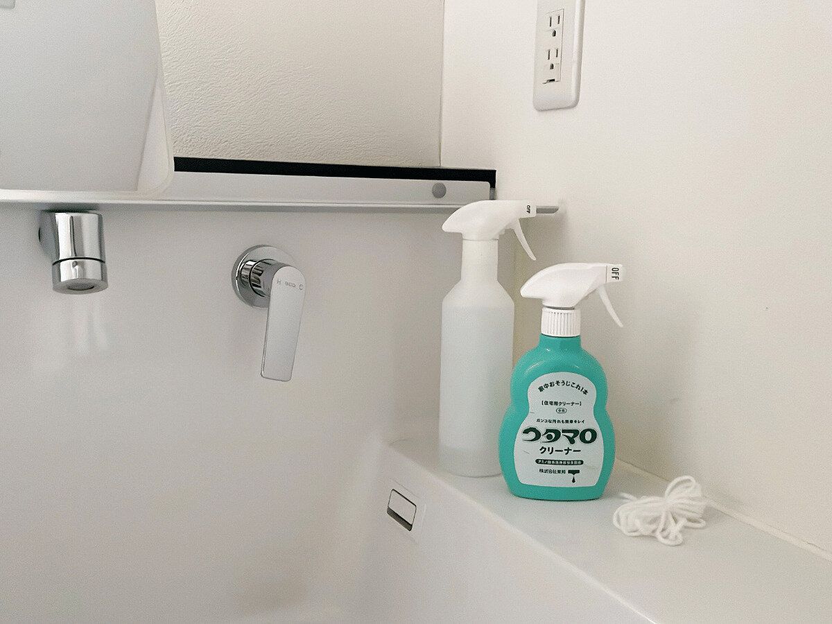 捨てても問題なかったモノ2位．洗剤