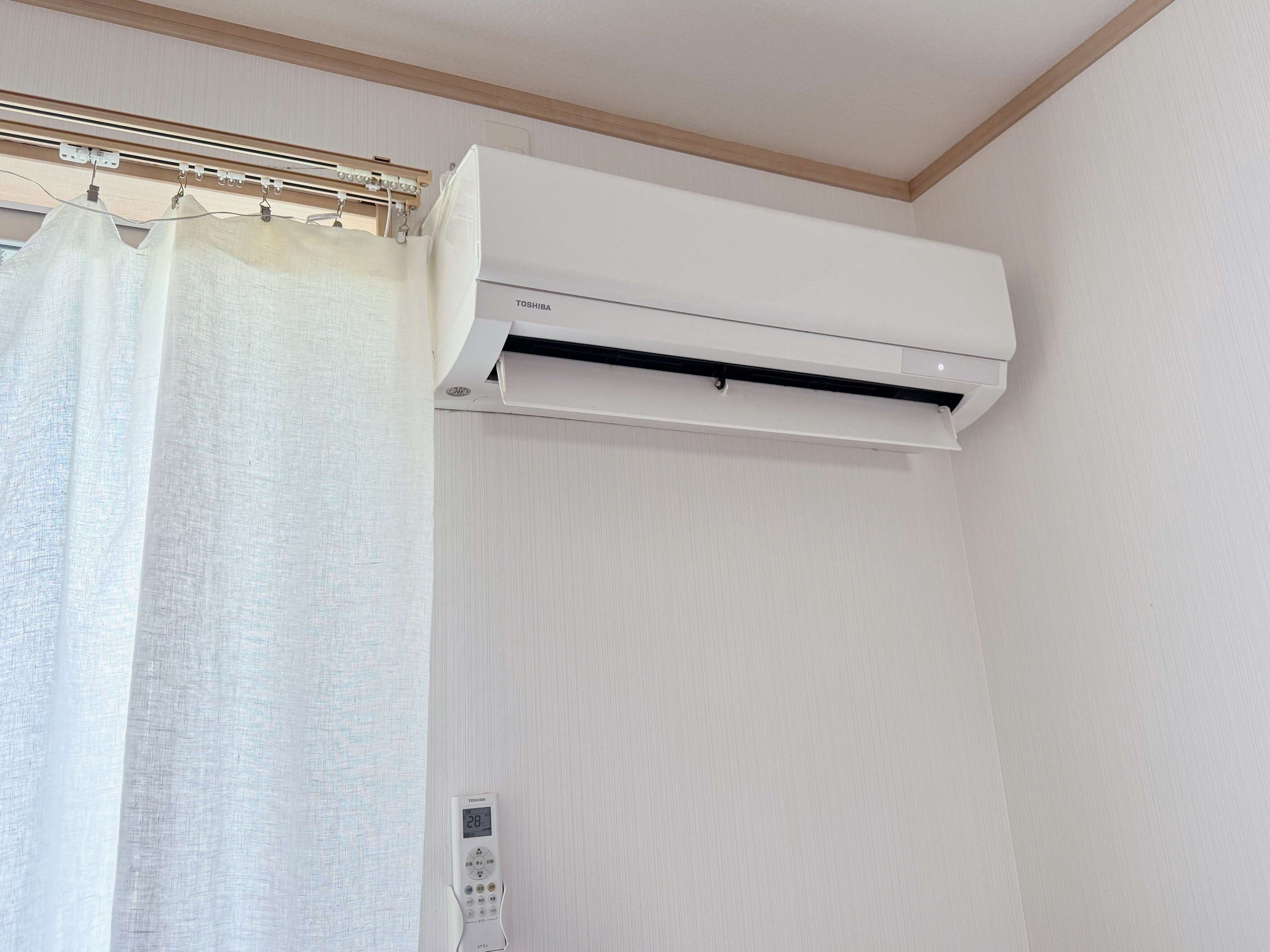 プロのクリーニングも検討を