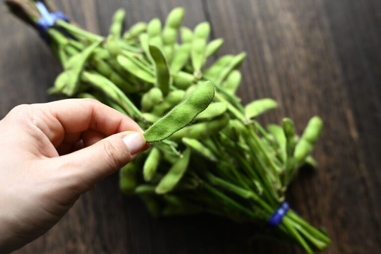 もう二度と枝豆を塩だけでゆでることができなくなる…枝豆がビックリするほどおいしくなる超簡単テク