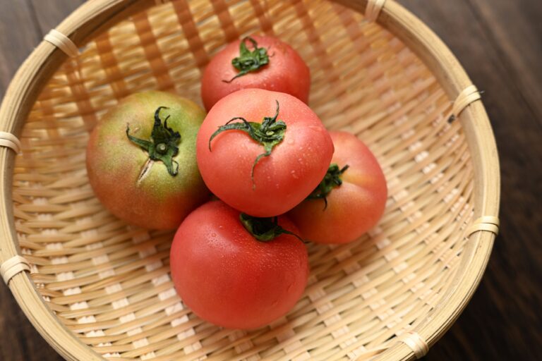 【冷蔵庫はNG】緑色のトマトを赤色にする方法が想像以上に簡単だった！