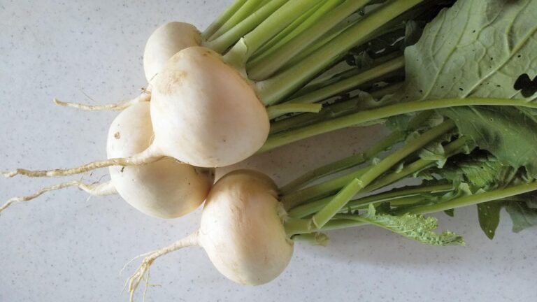じつは「かぶ」ってこんな部分も食べられるんです！栄養をキープしながらおいしく食べられるレシピもご紹介